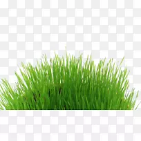 编辑桌面壁纸剪贴画-空若网 编辑桌面壁纸剪贴画-空若网