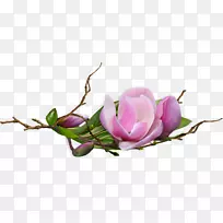 插花艺术-空若网 插花艺术-空若网