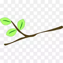 ��֦֧��������-������