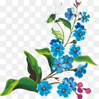 兰花-花-空若网 兰花-花-空若网