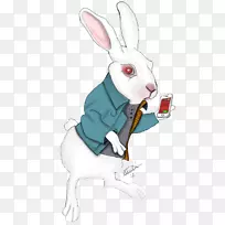 白兔欧洲兔博客公寓食品-空若网 白兔欧洲兔博客公寓食品-空若网