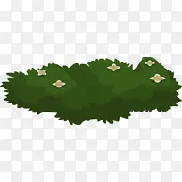 ��ľ������������-������