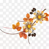 花束秋剪花剪艺术-花-空若网 花束秋剪花剪艺术-花-空若网