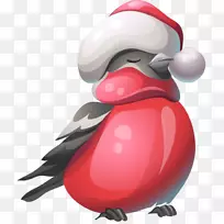 �������ʦPolyvore-����-������