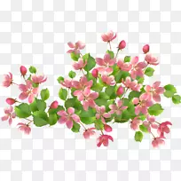 花篮剪贴画-花-空若网 花篮剪贴画-花-空若网