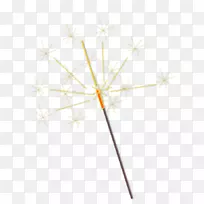 树线开花植物对称-空若网 树线开花植物对称-空若网