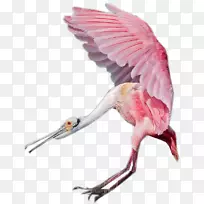 ˮ��-������