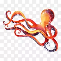 章鱼海洋无脊椎动物头足动物-动物-空若网 章鱼海洋无脊椎动物头足动物-动物-空若网