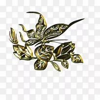 光景昆虫-空若网 光景昆虫-空若网