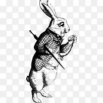 艺术绘画爱丽丝在仙境科技屋的冒险,光盘骑师-人-空若网 艺术绘画爱丽丝在仙境科技屋的冒险,光盘骑师-人-空若网