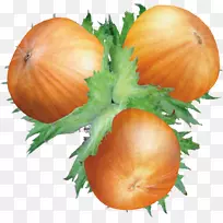 坚果榛子橡子夹艺术-空若网 坚果榛子橡子夹艺术-空若网