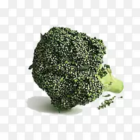 3D造型三维电脑图形西兰花下载电影院4d-西兰花蔬菜-空若网 3D造型三维电脑图形西兰花下载电影院4d-西兰花蔬菜-空若网