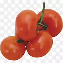 ���ѽ����ƹ��߲�ˮ��-����-������