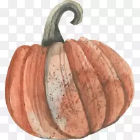 水彩画下载-水彩画南瓜-空若网 水彩画下载-水彩画南瓜-空若网