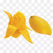 ¹ûÖâ¹û×Ñâ¹ûƤ-¿ÕÈôÍø ¹ûÖâ¹û×Ñâ¹ûƤ-¿ÕÈôÍø