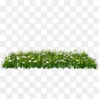 ������-������