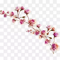 数码影像剪贴画-空若网 数码影像剪贴画-空若网