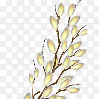 切花设计枝芽花-空若网 切花设计枝芽花-空若网