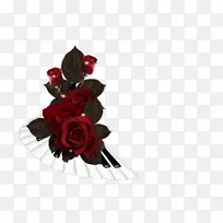 ����������-��-������