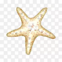 ���ǿ�ͨ-��ͨ�ߵ㺣��-������