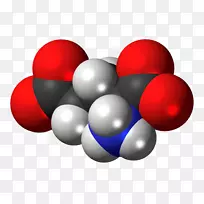 谷氨酸氨基酸空间填充模型-空若网 谷氨酸氨基酸空间填充模型-空若网
