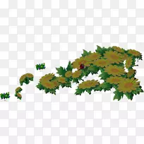 花卉设计菊花切花叶菊花-空若网 花卉设计菊花切花叶菊花-空若网