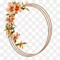 花卉博客艺术绘画-花-空若网 花卉博客艺术绘画-花-空若网