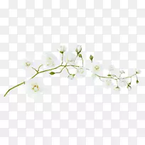 ���׻�-������