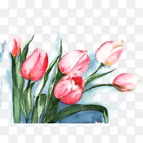 Óô½ðÏãË®²Ê»·ÛºìÓô½ðÏãË®²Ê»ËزÄ-¿ÕÈôÍø Óô½ðÏãË®²Ê»·ÛºìÓô½ðÏãË®²Ê»ËزÄ-¿ÕÈôÍø