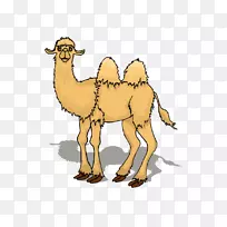 ���ն���������������-������