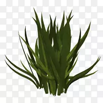 草剪艺术-草-空若网 草剪艺术-草-空若网