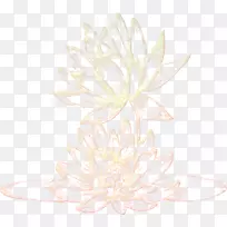 �������-������