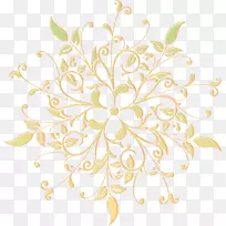 切花花型花瓣花-空若网 切花花型花瓣花-空若网