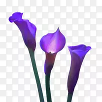 �л�������-������