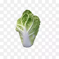 ���ˣ����Ĳˣ����Ĳˣ����࣬ʮ�ֻ����߲�.�������Ĳ�-������