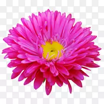 博客获奖剪贴画-空若网 博客获奖剪贴画-空若网