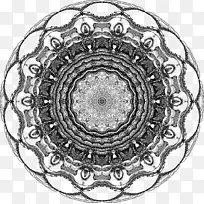 �Ӿ�������ɫ���-������