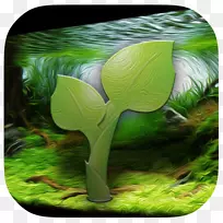 ²Ý±¾Ö²ÎïÂÌÒ¶ÉúÎï-Ö²Îï-¿ÕÈôÍø ²Ý±¾Ö²ÎïÂÌÒ¶ÉúÎï-Ö²Îï-¿ÕÈôÍø