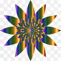 ���۾ۺ������ذ�-������