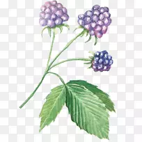 ��ˮ�ʻ�������-��-������