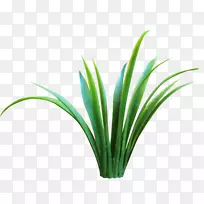 ���Ͳ�ֲ�����ݡ���Ȫ�ݡ�������-ֲ��-������