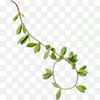 叶树枝计算机图标-叶-空若网 叶树枝计算机图标-叶-空若网