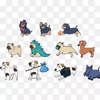 澳大利亚牧羊犬小狗-空若网 澳大利亚牧羊犬小狗-空若网