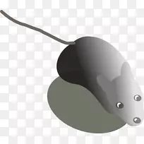 技术动物技术-空若网 技术动物技术-空若网