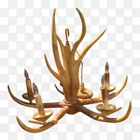 �ƾ�01504����.��-������