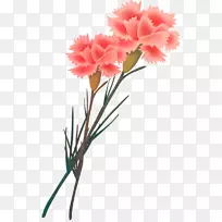 �л�����ܰ���������-����-������