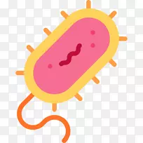 细菌计算机图标.科学-空若网 细菌计算机图标.科学-空若网