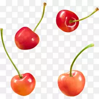 °Í°Í¶à˹ӣÌÒʳƷˮ¹û¼ôÌù»-Ó£ÌÒ-¿ÕÈôÍø °Í°Í¶à˹ӣÌÒʳƷˮ¹û¼ôÌù»-Ó£ÌÒ-¿ÕÈôÍø