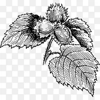 Flipnote工作室3D绘图剪辑艺术-动画-空若网 Flipnote工作室3D绘图剪辑艺术-动画-空若网