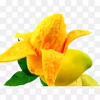 芒果食品奥格里斯水果芒果-空若网 芒果食品奥格里斯水果芒果-空若网